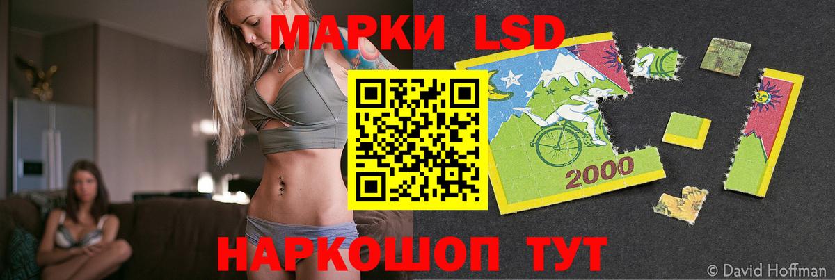 Ноябрьск  ЛСД экстази  Вход с VPN  ЛСД экстази ecstasy  ЛСД экстази ecstasy 