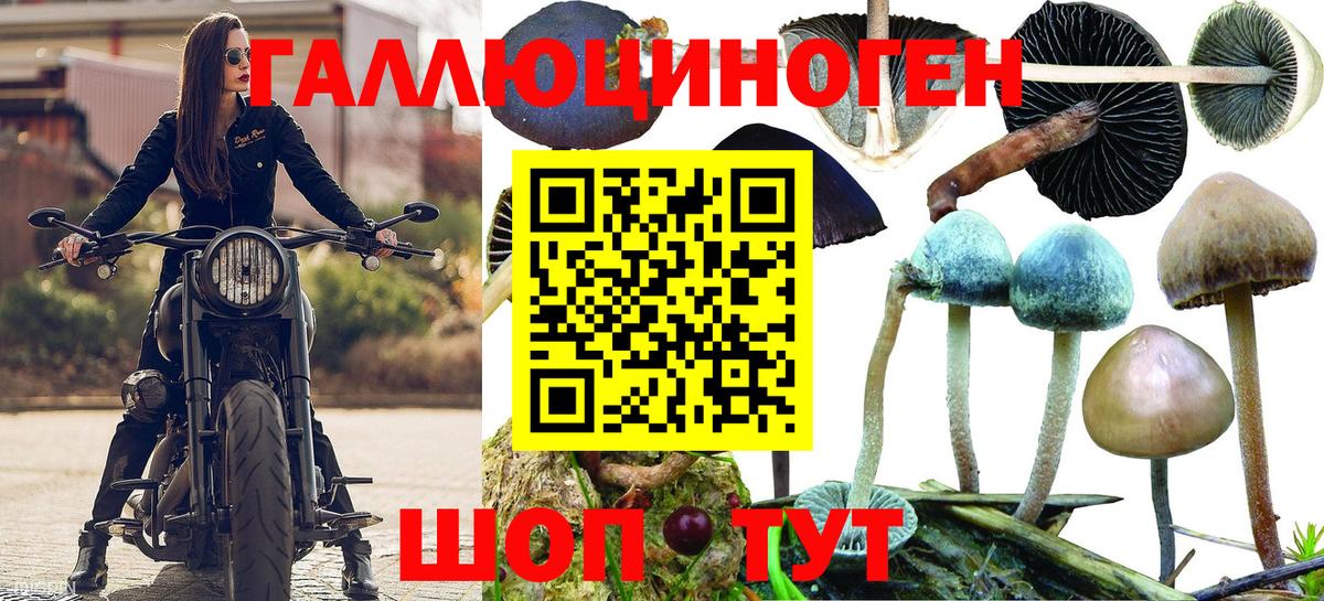 Галлюциногенные грибы Magic Shrooms  Вход с VPN  Ноябрьск 